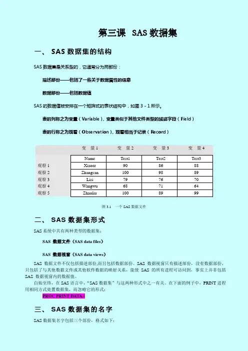 SAS系统和数据分析SAS数据集