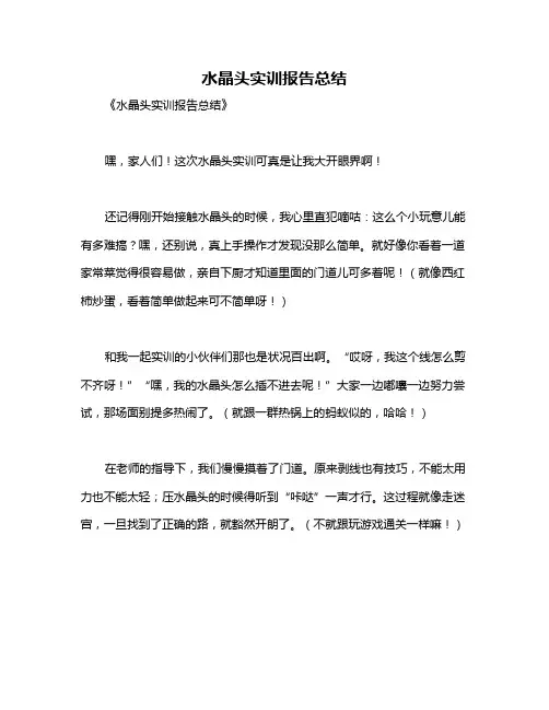 水晶头实训报告总结