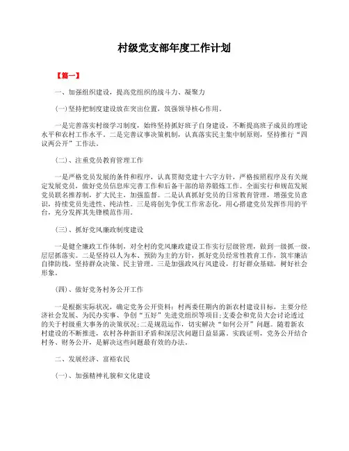 村级党支部年度工作计划