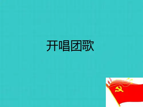 光荣啊,中国共青团