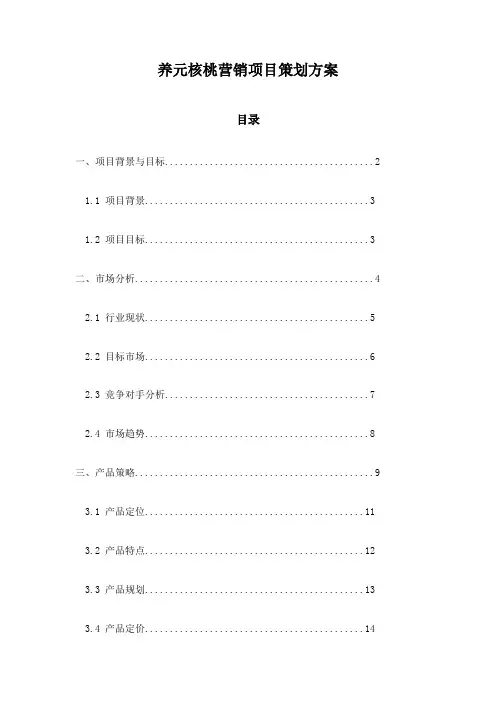 养元核桃营销项目策划方案