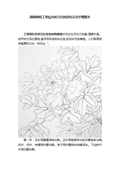 国画教程工笔牡丹状元红的设色示范步骤图文