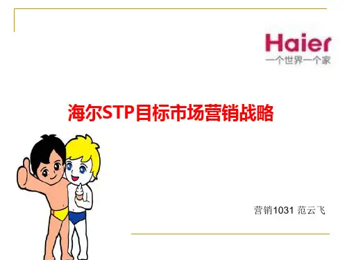 海尔STP分析