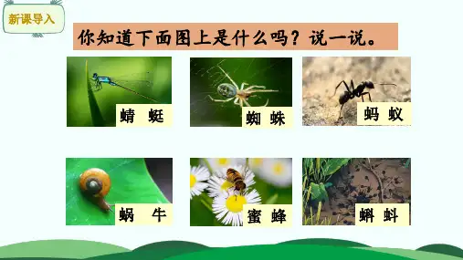 部编一年级语文下册5.动物儿歌(1课时)