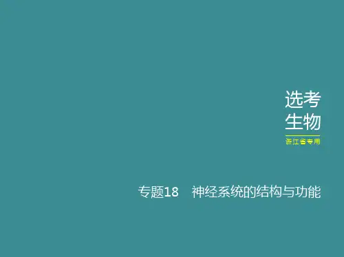 高考二轮复习神经系统的结构与功能课件(47张)浙江版