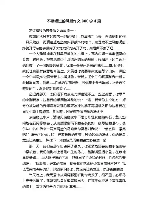 不该错过的风景作文800字4篇
