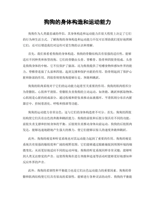 狗狗的身体构造和运动能力