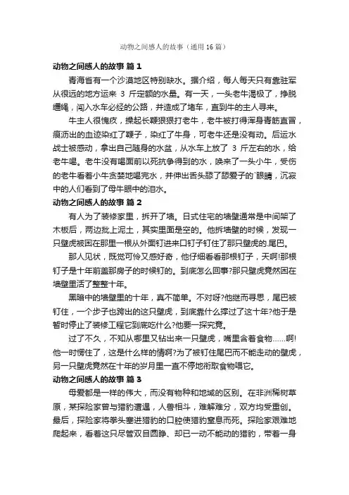 动物之间感人的故事（通用16篇）