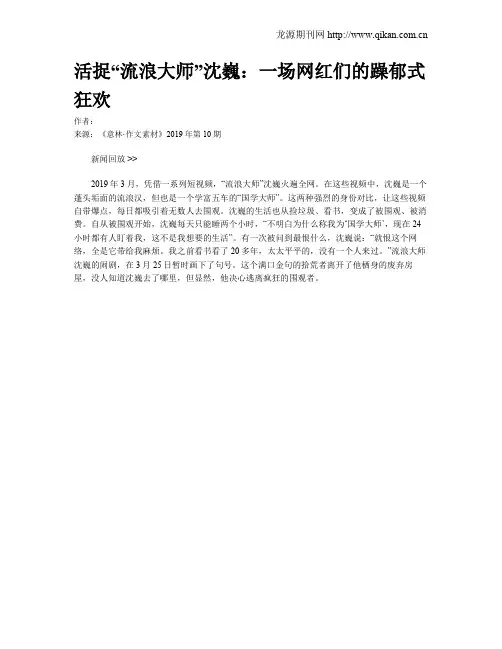 活捉“流浪大师”沈巍：一场网红们的躁郁式狂欢