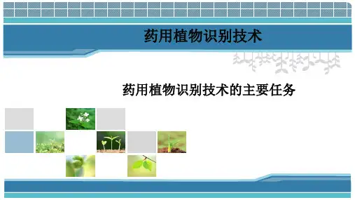 《药用植物识别技术》课件——1.植物学任务