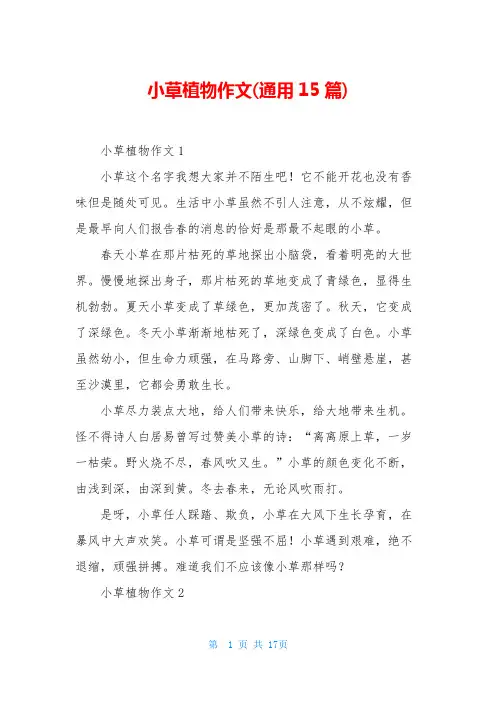 小草植物作文(通用15篇)