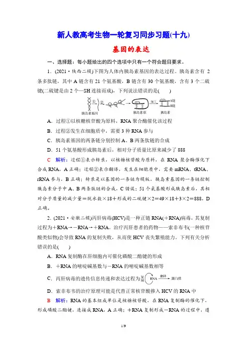 新人教高考生物一轮复习同步习题(19) 基因的表达