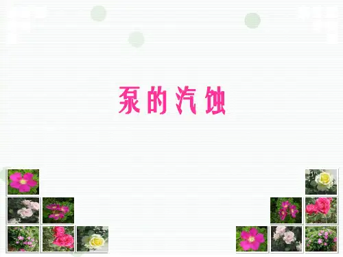 泵的汽蚀报告