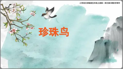 《珍珠鸟》 课件(共35张PPT)