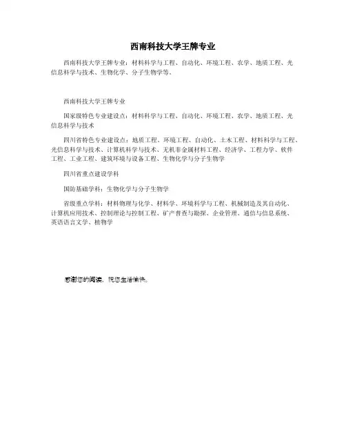 西南科技大学王牌专业