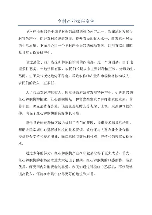 乡村产业振兴案例