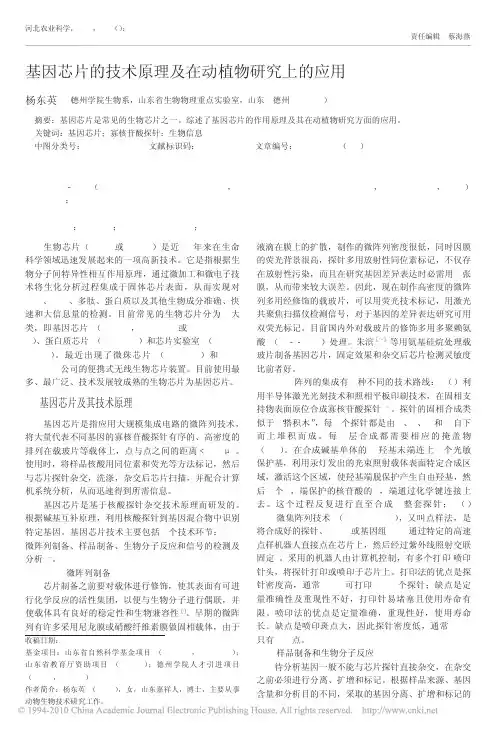 基因芯片的技术原理及在动植物研究上的应用