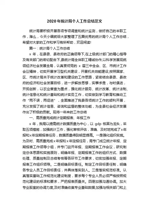 2020年统计局个人工作总结范文