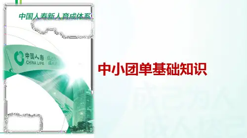 团险中小团单基础知识介绍方案设计评残标准国寿版22页