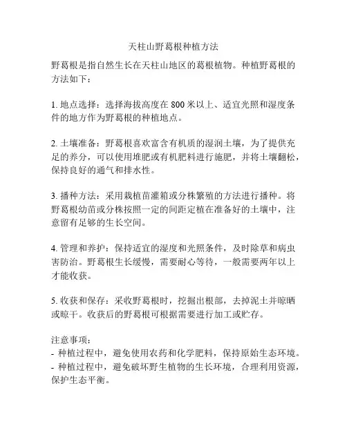 天柱山野葛根种植方法