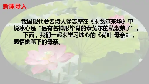 部编版七年级语文上册第7课《散文诗二首——荷叶·母亲》课件