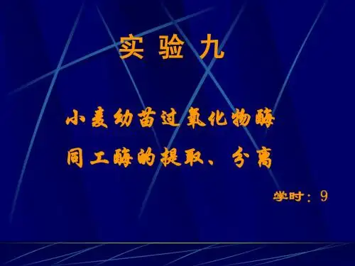 小麦幼苗过氧化物酶