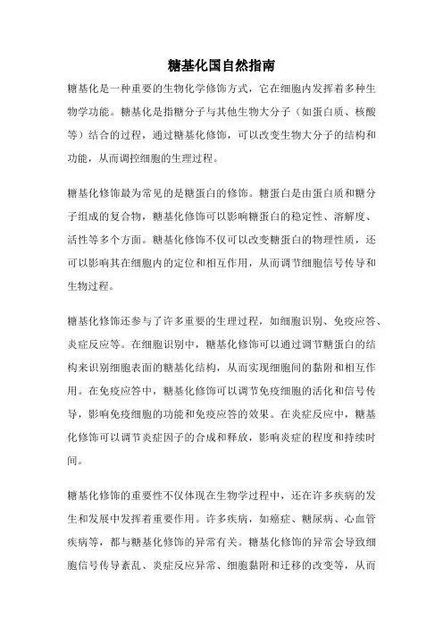 糖基化国自然指南