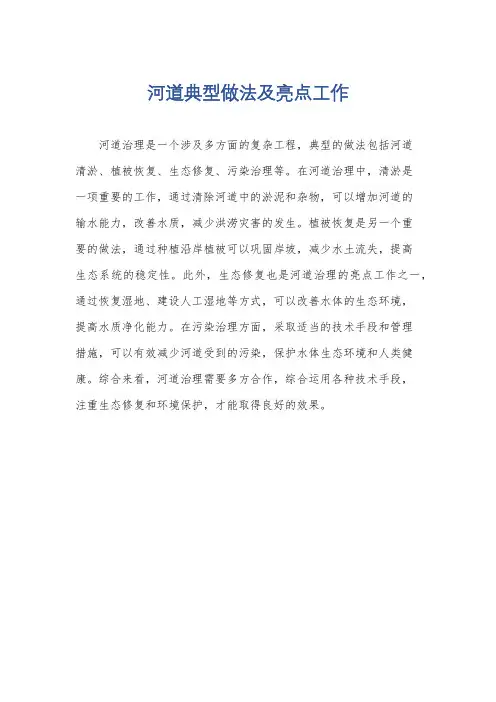 河道典型做法及亮点工作