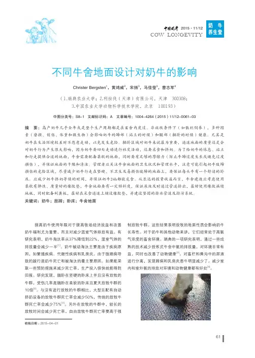 不同牛舍地面设计对奶牛的影响