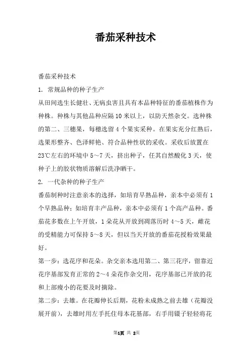 番茄采种技术