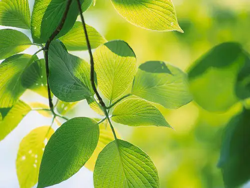 高中英语-开学第一课 PPT课件 图文