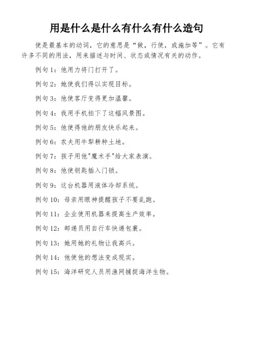 用是什么是什么有什么有什么造句