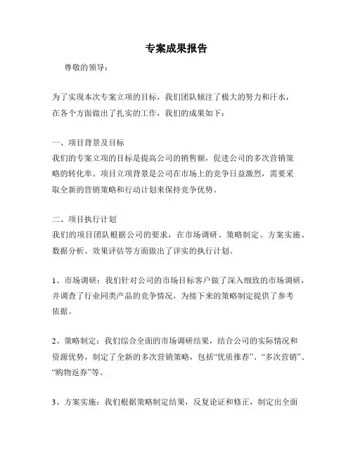 专案成果报告