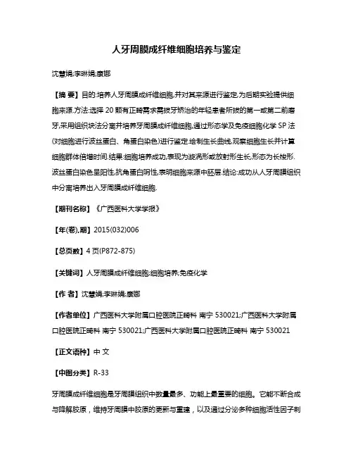 人牙周膜成纤维细胞培养与鉴定