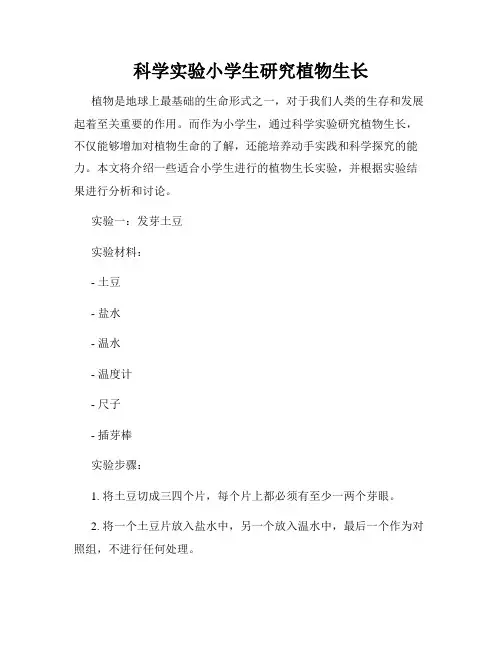 科学实验小学生研究植物生长