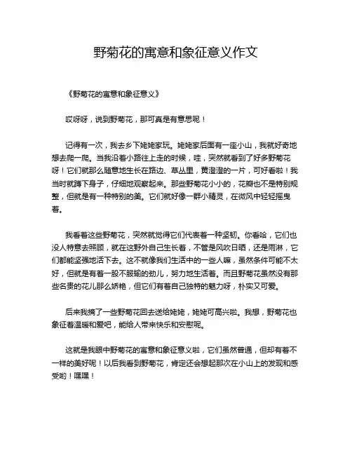 野菊花的寓意和象征意义的优秀作文