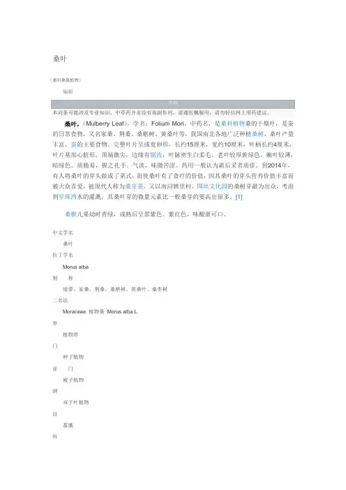 桑叶