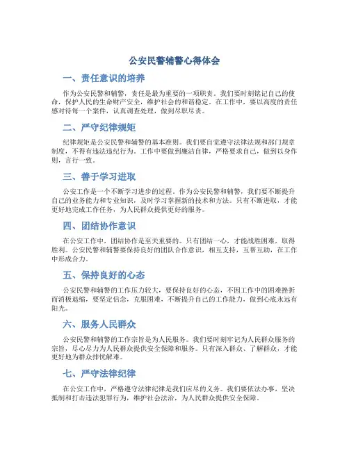 公安民警辅警心得体会