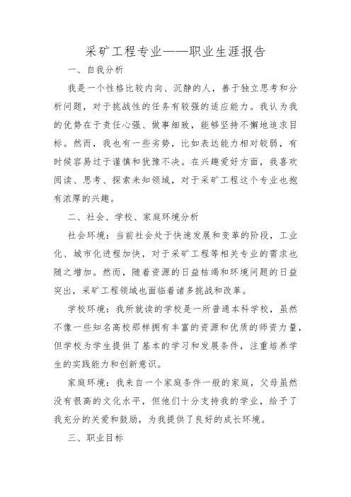 采矿工程专业——职业生涯报告