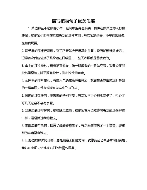 描写植物句子优美段落