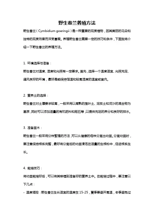 野生春兰养殖方法