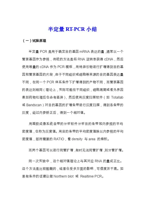 半定量RT-PCR试验心得