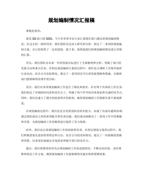规划编制情况汇报稿