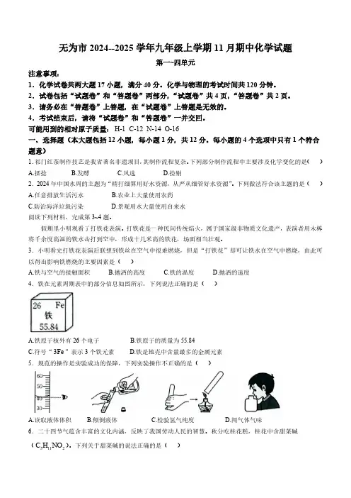 安徽省芜湖市无为市2024--2025学年九年级上学期11月期中化学试题(含答案)