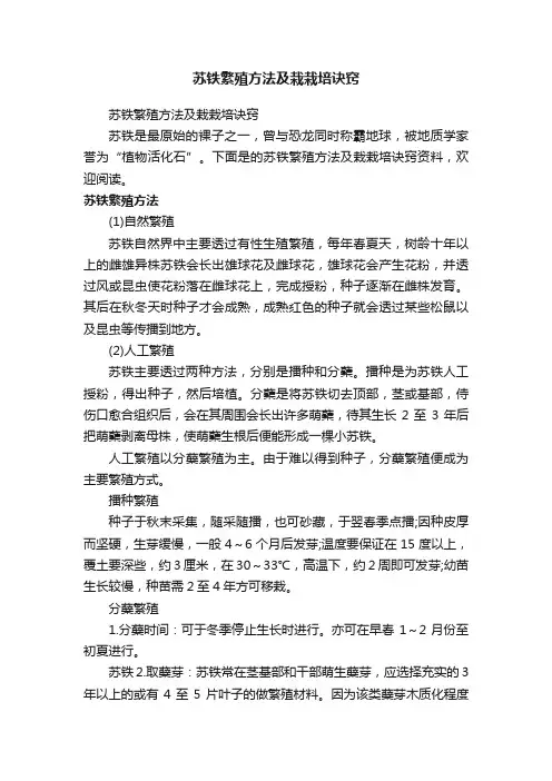 苏铁繁殖方法及栽栽培诀窍