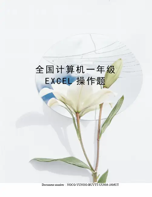 全国计算机一年级EXCEL操作题