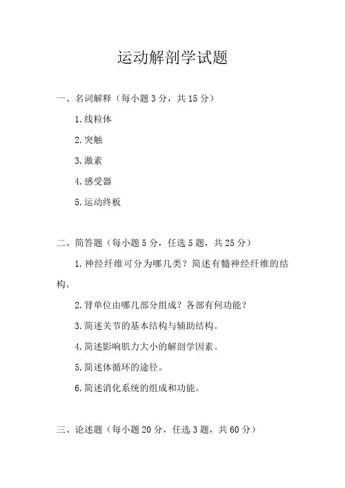 运动解剖学试题及答案