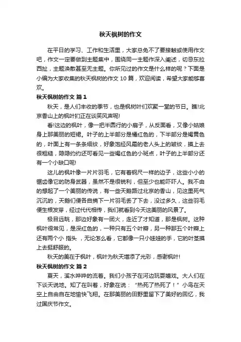 关于秋天枫树的作文10篇