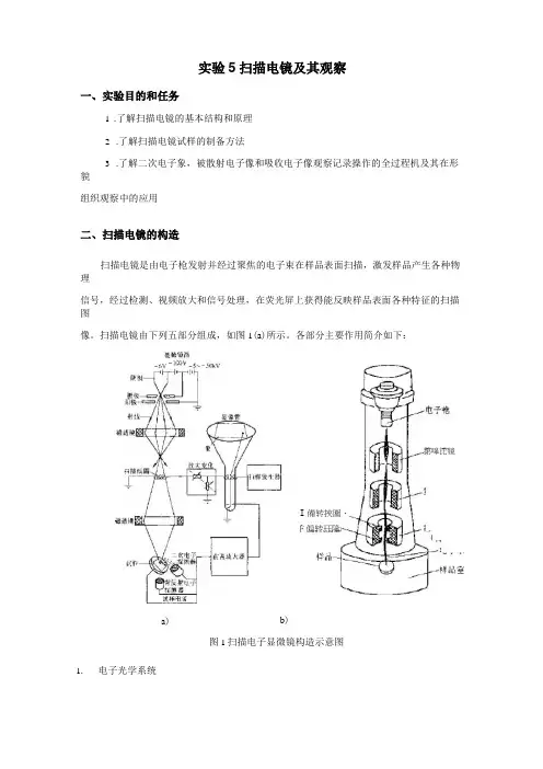实验5 扫描电镜及其观察