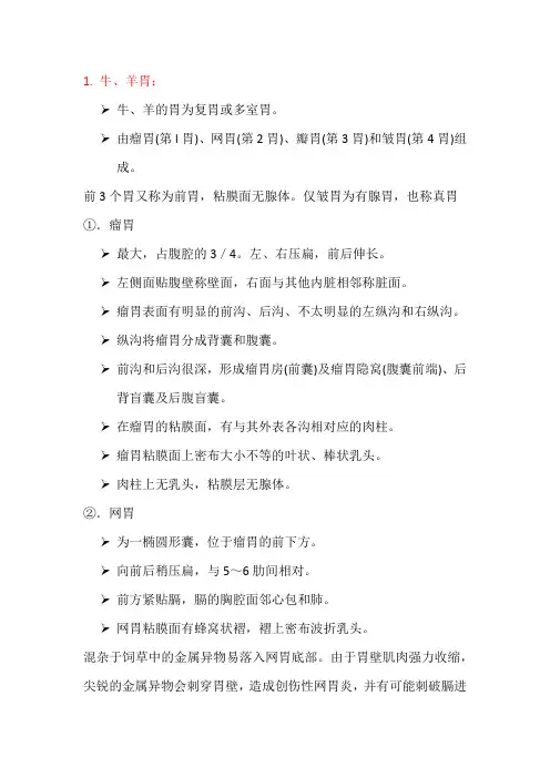 家畜解剖学复习题